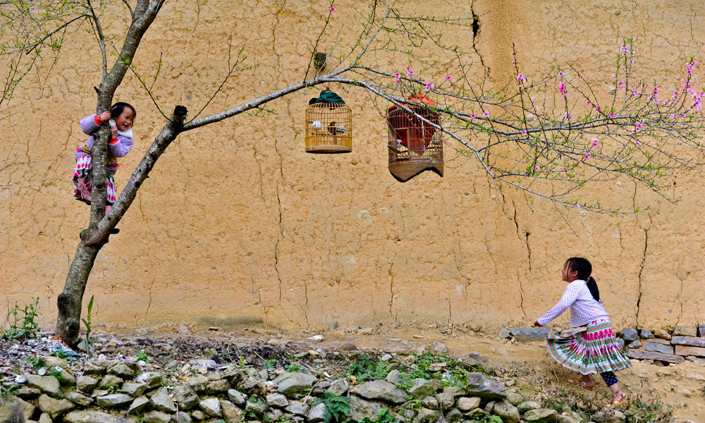 Sắc Tháng giêng. Ảnh: Tiến Dũng